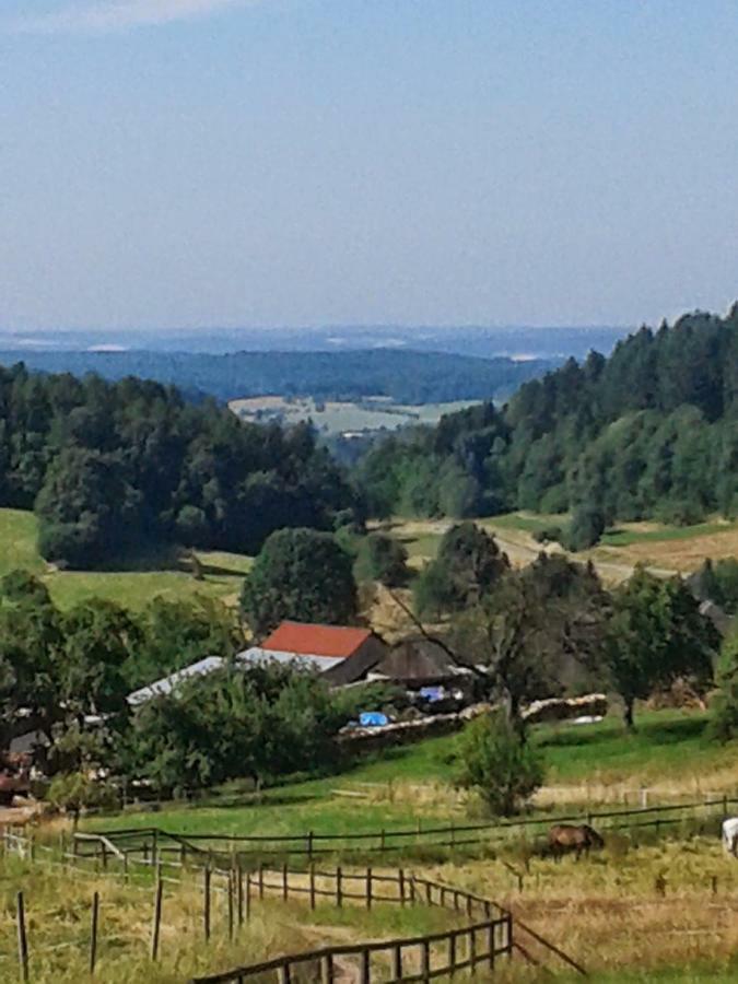 Fewo Am Neckarsteig Neckarsteinach Esterno foto