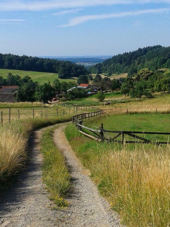 Fewo Am Neckarsteig Neckarsteinach Esterno foto