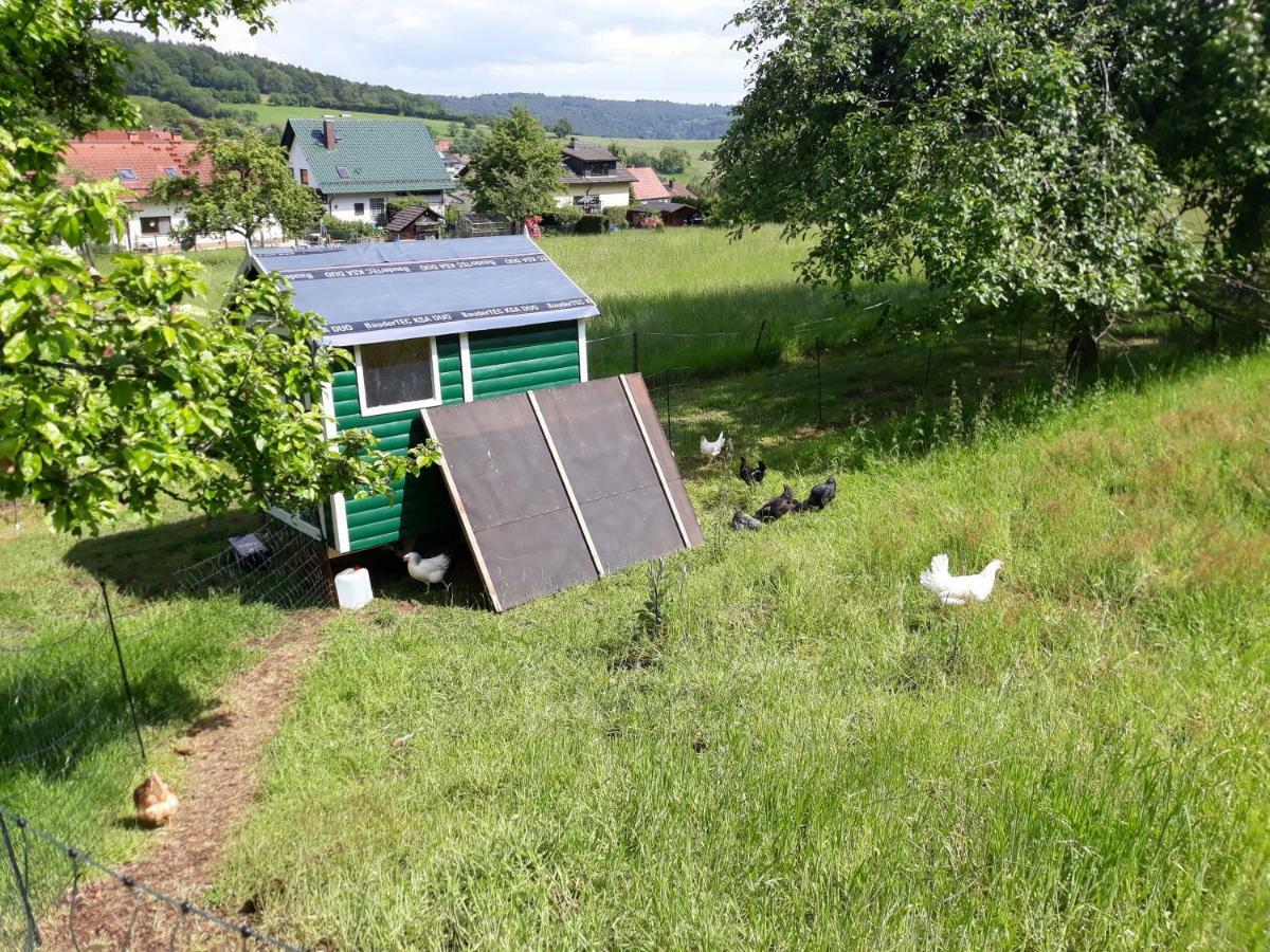 Fewo Am Neckarsteig Neckarsteinach Esterno foto